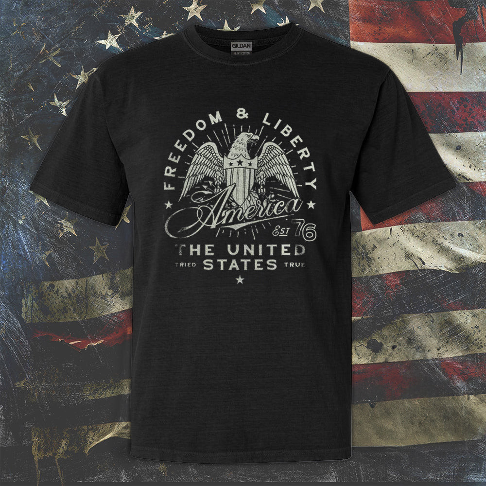 Eagle Liberty And Freedom Est 76 Shirt Mens 4Th Of July Patriotic Tee Gifts For Patriots Eagle Liberty And Freedom Est 76 Shirt Mens 4Th Of July Patriotic Tee Gifts For Patriots