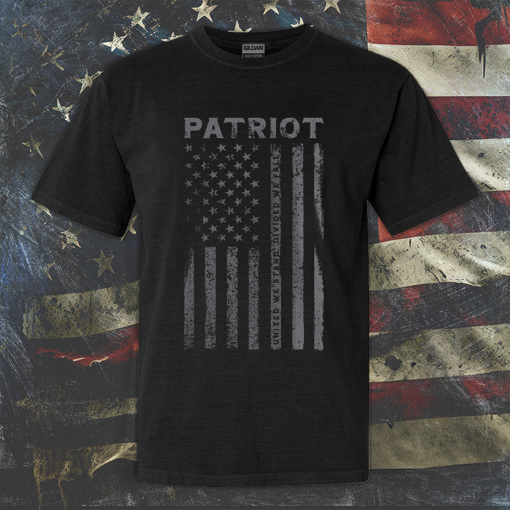 Patriot American Flag Shirt United We Stand Divided We Fall Patriotic Mens T-Shirts