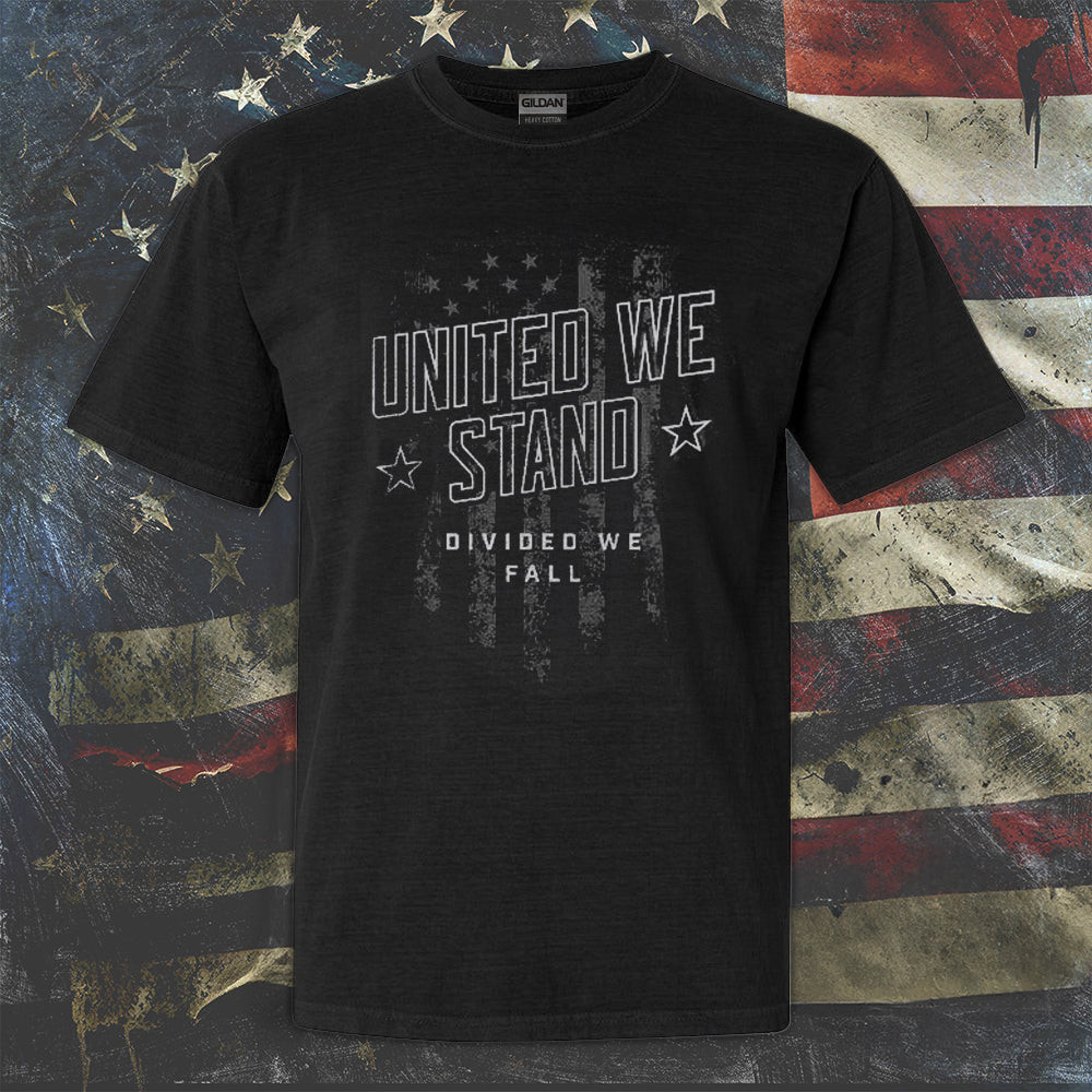 United We Stand Divided We Fall T-Shirt Best Patriotic Shirts For Men United We Stand Divided We Fall T-Shirt Best Patriotic Shirts For Men