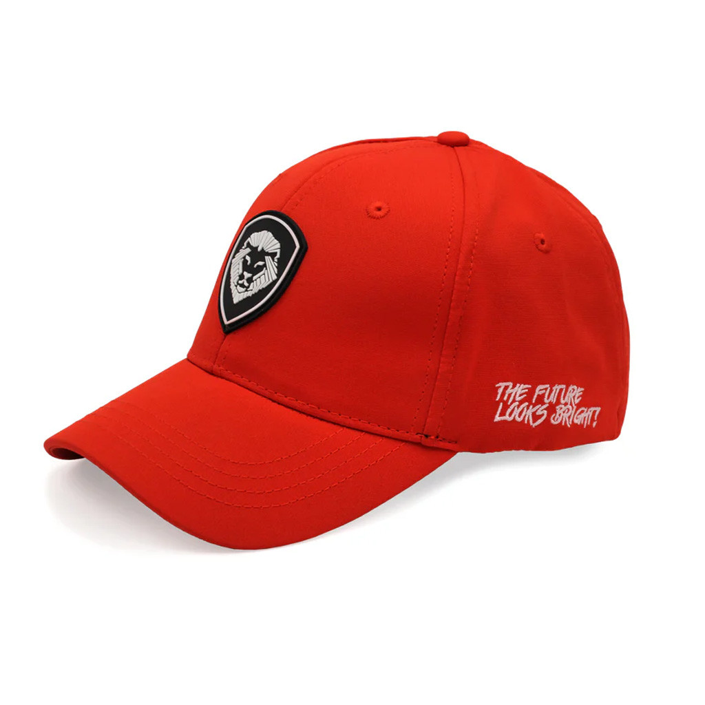 Valuetainment Merch Embroidered Lion Shield Logo Hat The Future Looks Bright Cap Gifts For Him Valuetainment Merch Embroidered Lion Shield Logo Hat The Future Looks Bright Cap Gifts For Him
