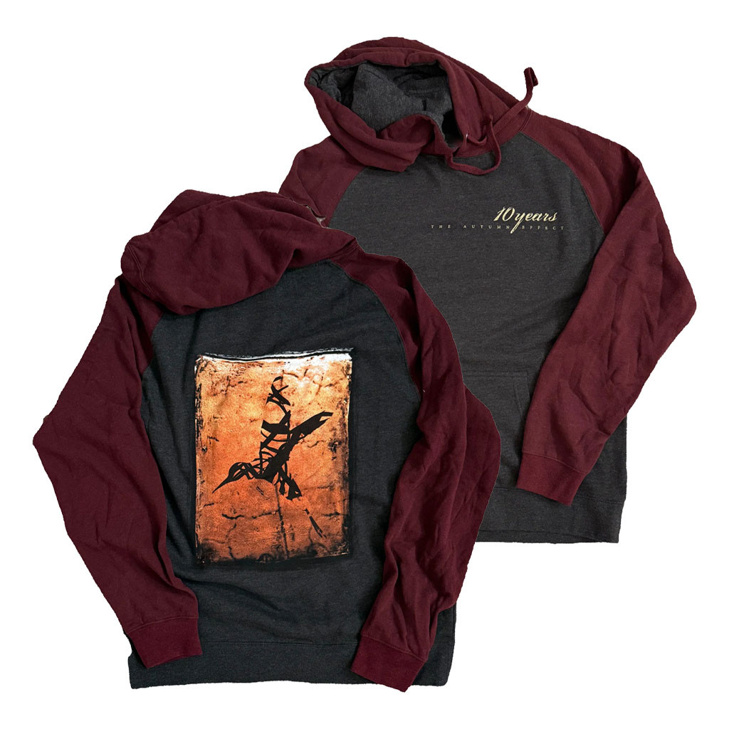10 Years Merch 2026 10 Years The Autumn Effect 20th Anniversary Hoodie Gift For Metal Band Fans