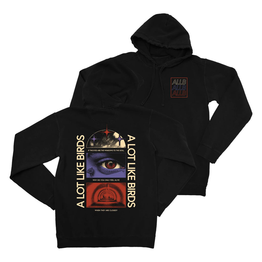 A Lot Like Birds Merch 2026 In Trances Hoodie Unique Gifts For Music Lovers - Kdjoy