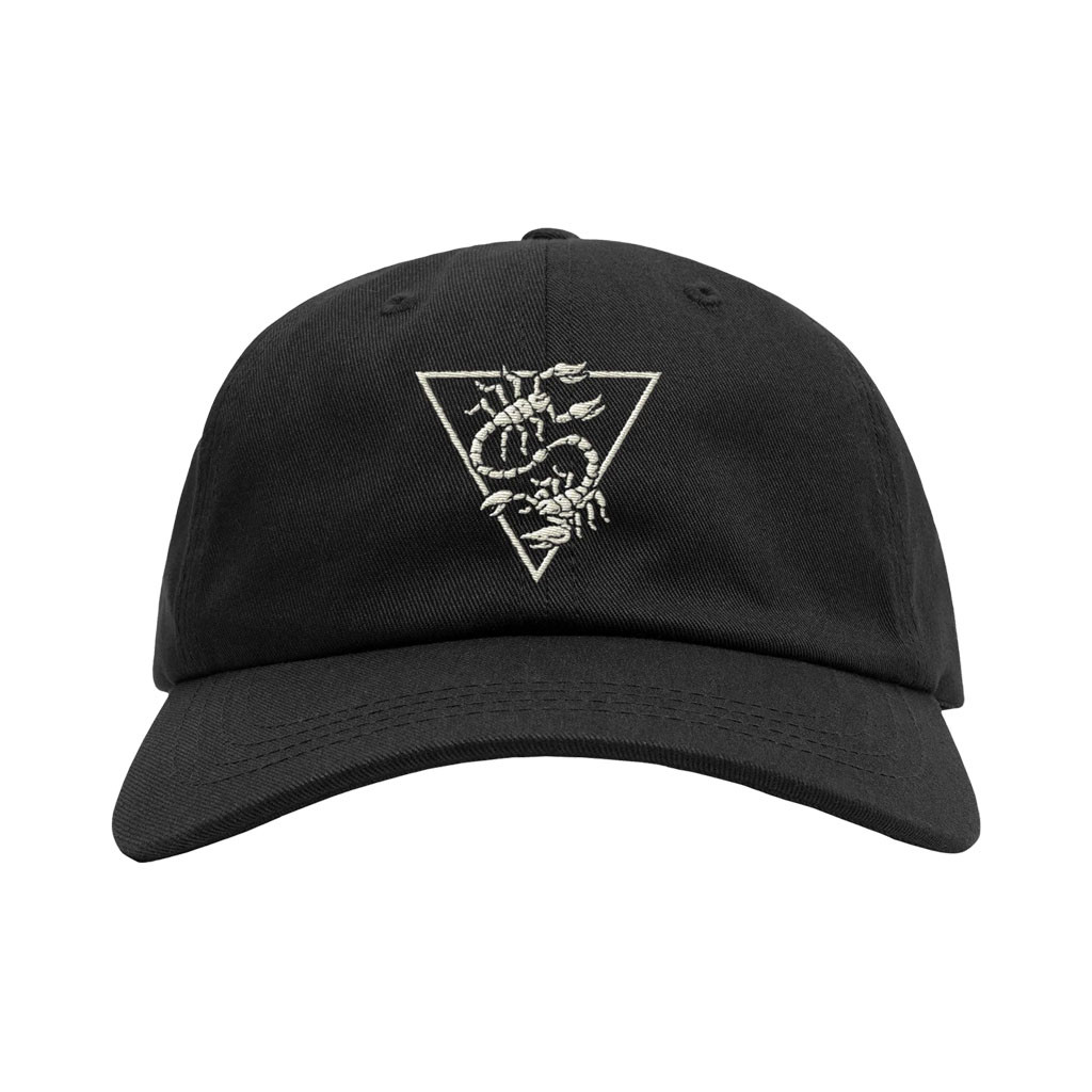 A Lot Like Birds Merch 2026 Scorpion Hat Music Lover Gift Ideas For Him - Kdjoy