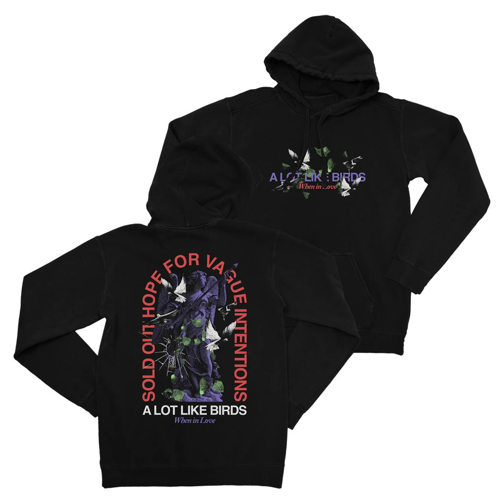 A Lot Like Birds Merch 2026 Vague Intentions Hoodie Presents For Music Lovers - Kdjoy
