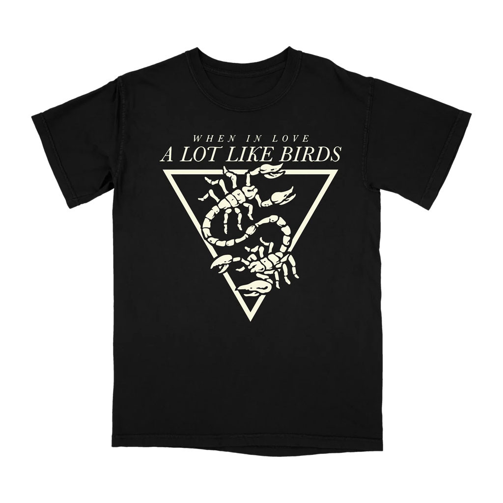 A Lot Like Birds Merch 2026 When In Love T-Shirt Black Present For Brothers - Kdjoy