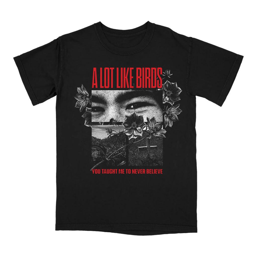 A Lot Like Birds Merch 2026 You Taught Me T-Shirt Music Lover Gifts For Him - Kdjoy