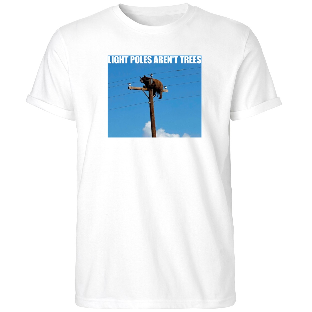 Bear Climbs Light Poles Aren't Trees Shirt Funny Graphic Tees Gifts For Friends - Kdjoy