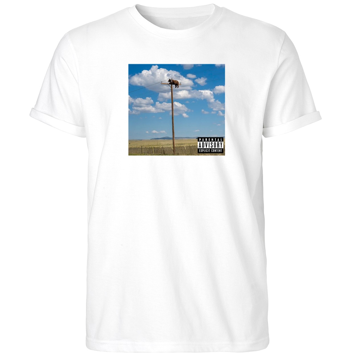 Bear On Top Of The Light Pole Shirt Funny T-Shirt Gifts For Best Friends - Kdjoy Bear On Top Of The Light Pole Shirt Funny T-Shirt Gifts For Best Friends - Kdjoy