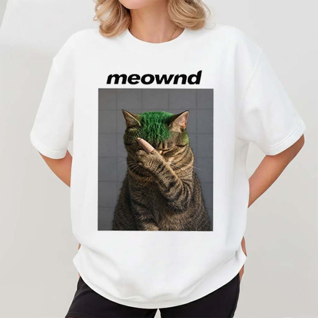 Frank Purrcean Meownd Cat Shirt Funny Music T-Shirt Gifts For Friends - Kdjoy