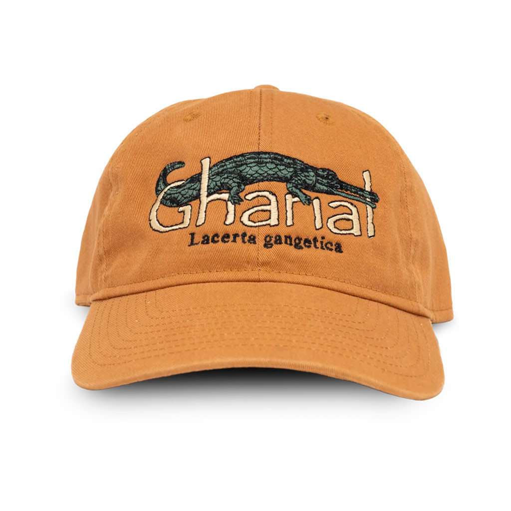 Online Ceramics Merch 2026 Gharial Embroidered Hat Lacerta Gangetica Cap Gift For Dad - Kdjoy