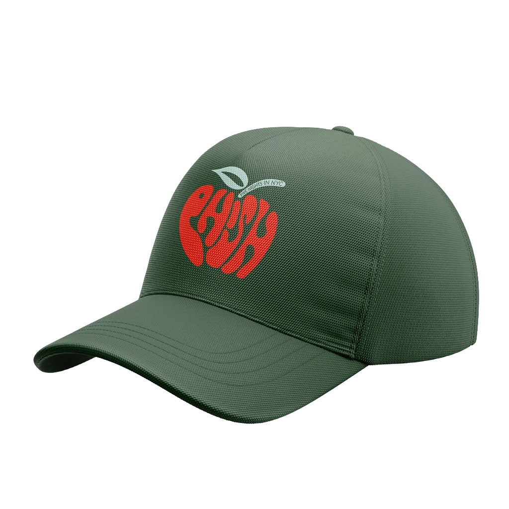 Phish Summer Tour 2026 At Madison Square Garden NY Hat Phish Merch Gifts For Music Fans - Kdjoy