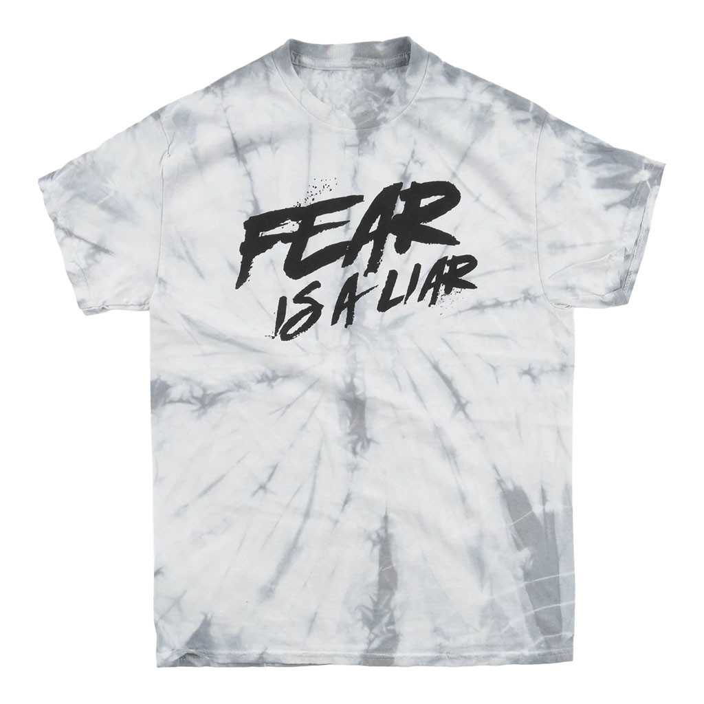 Zach Williams Merch 2026 Fear Is A Liar T-Shirt Birthday Gifts For Music Lovers - Kdjoy