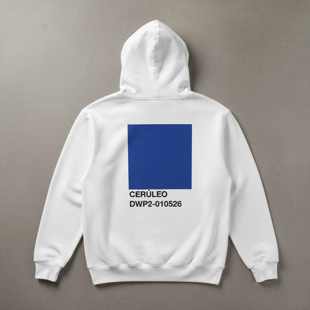 Ceruleo DWP2 010526 Hoodie