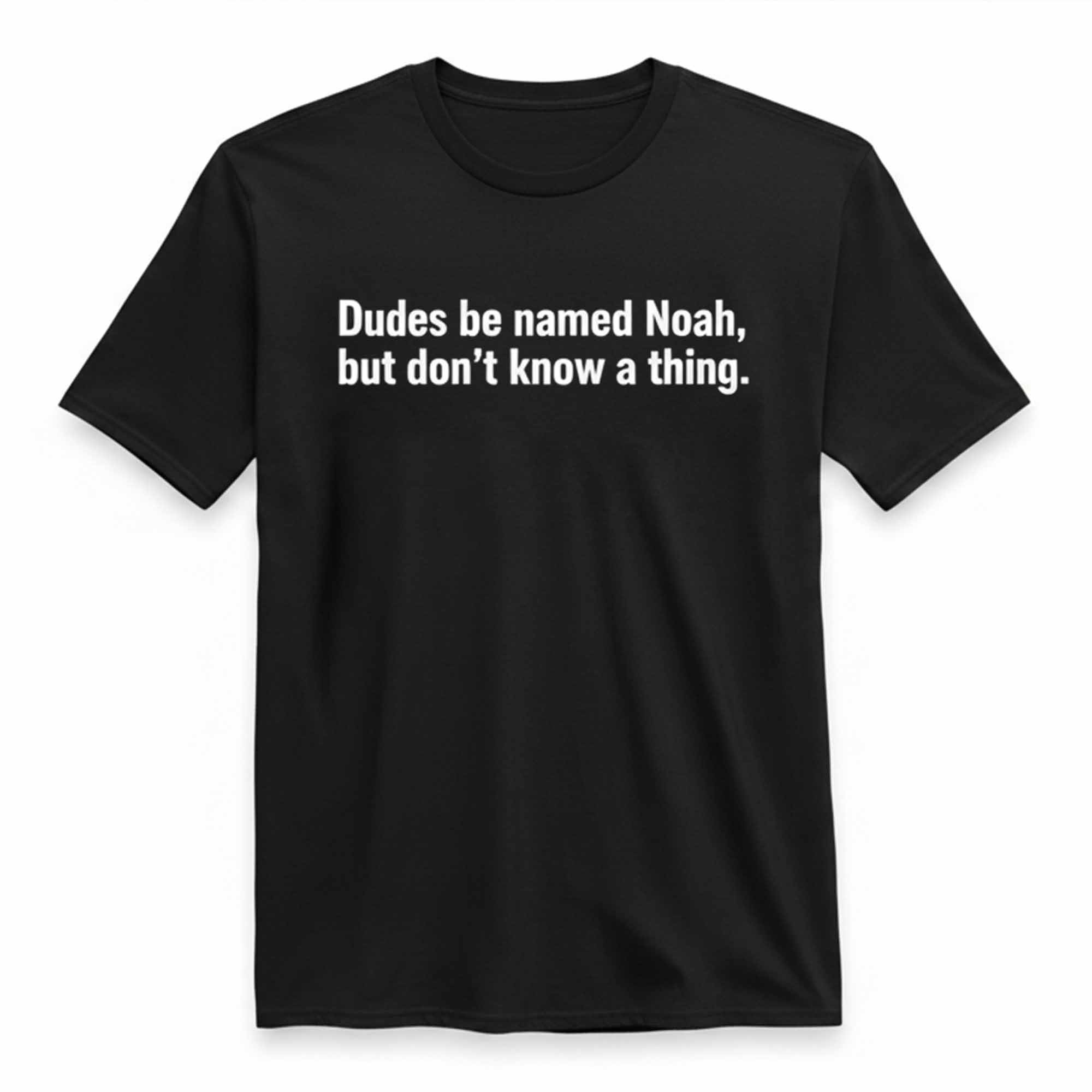 Dudes Be Named Noah But Don't Know A Thing Shirt