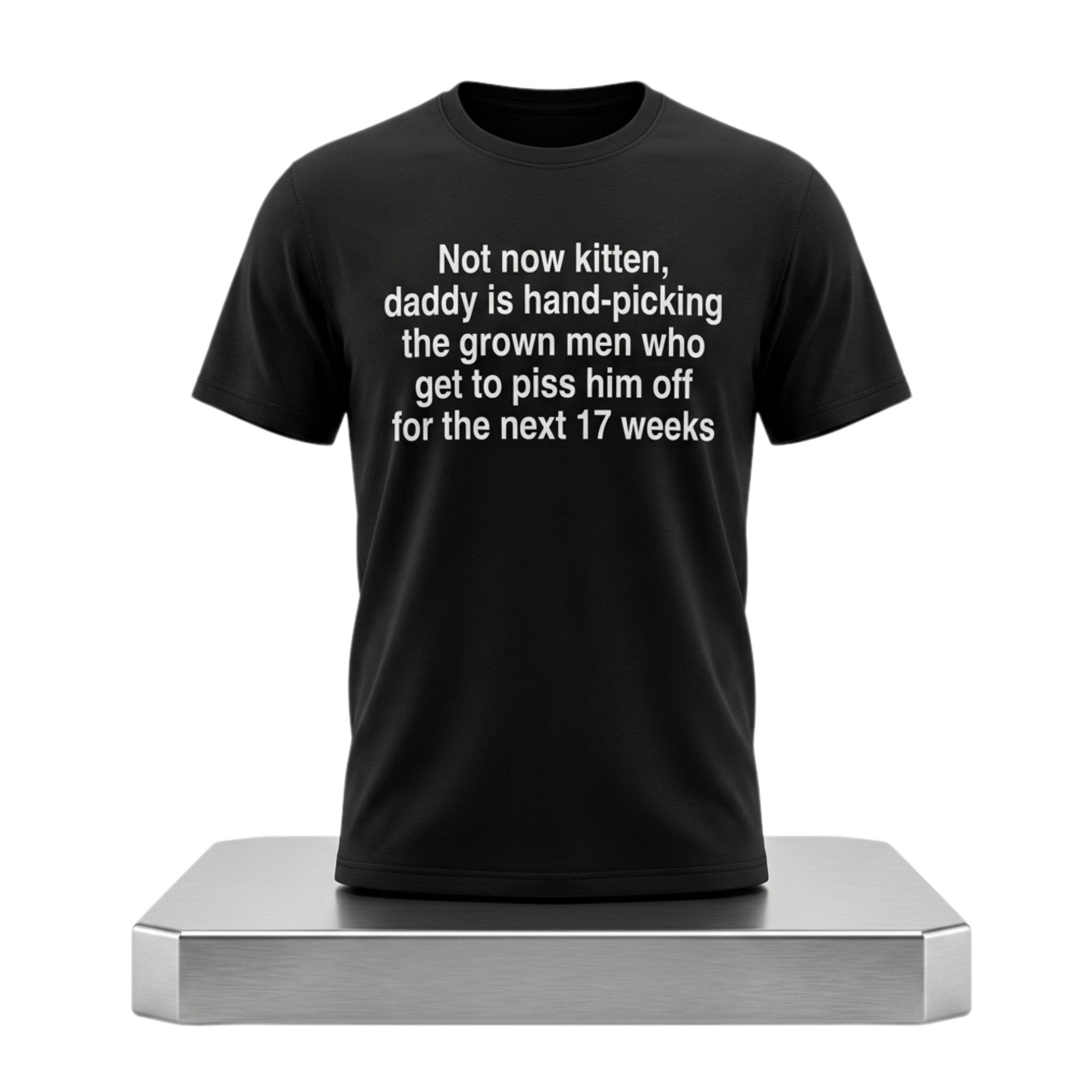 Not Now Kitten Daddy Is Hand-Picking The Grown Men Who Get To Piss Him Off For The Next 17 Weeks Shirt