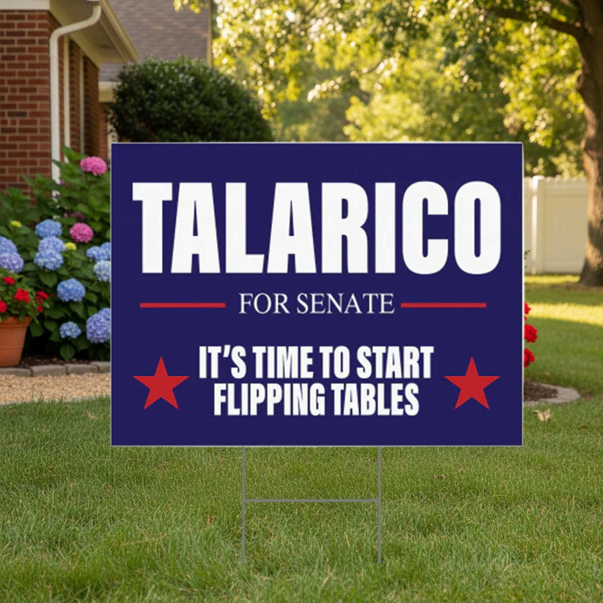 Talarico for Senate Yard Sign