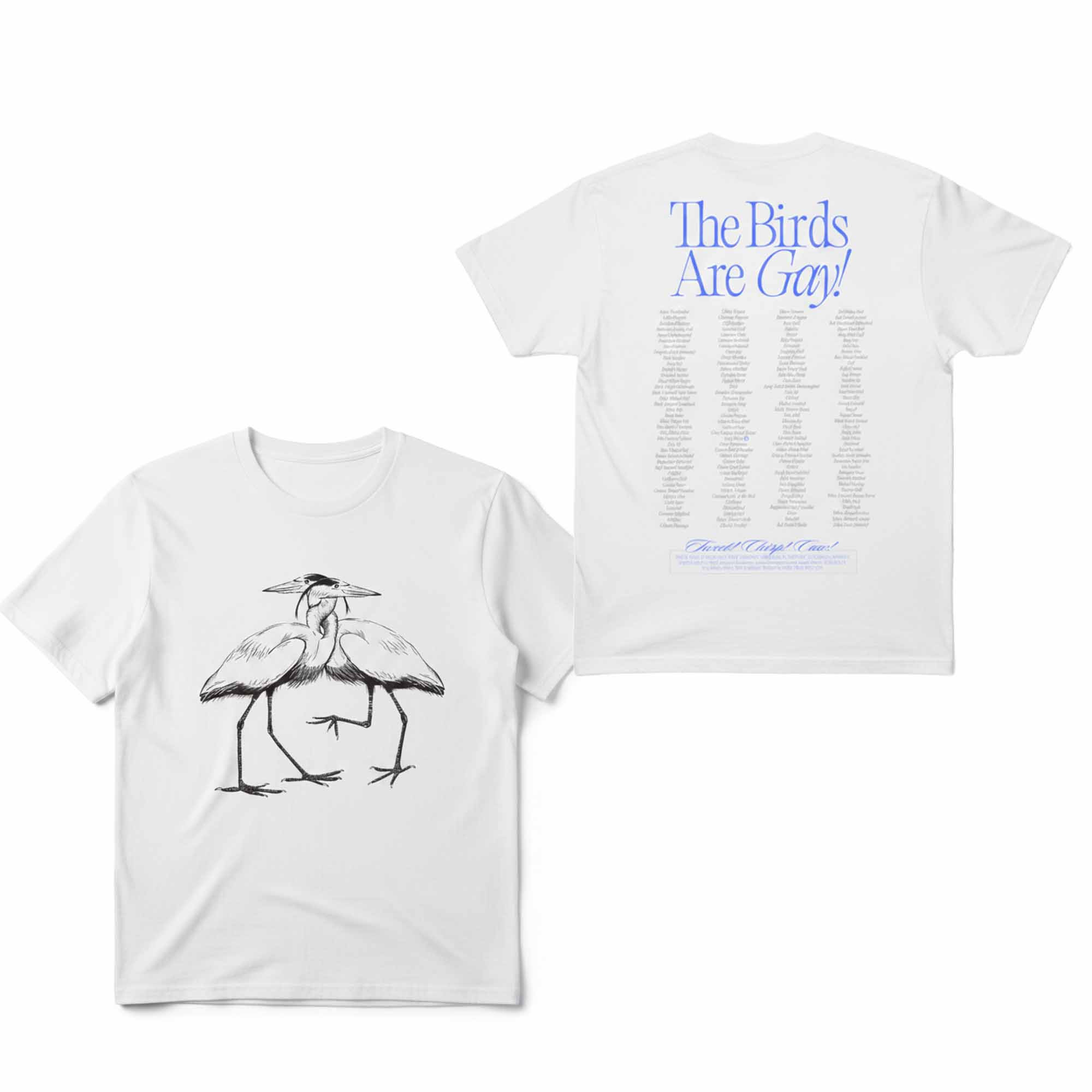 The Birds Are Gay Shirt