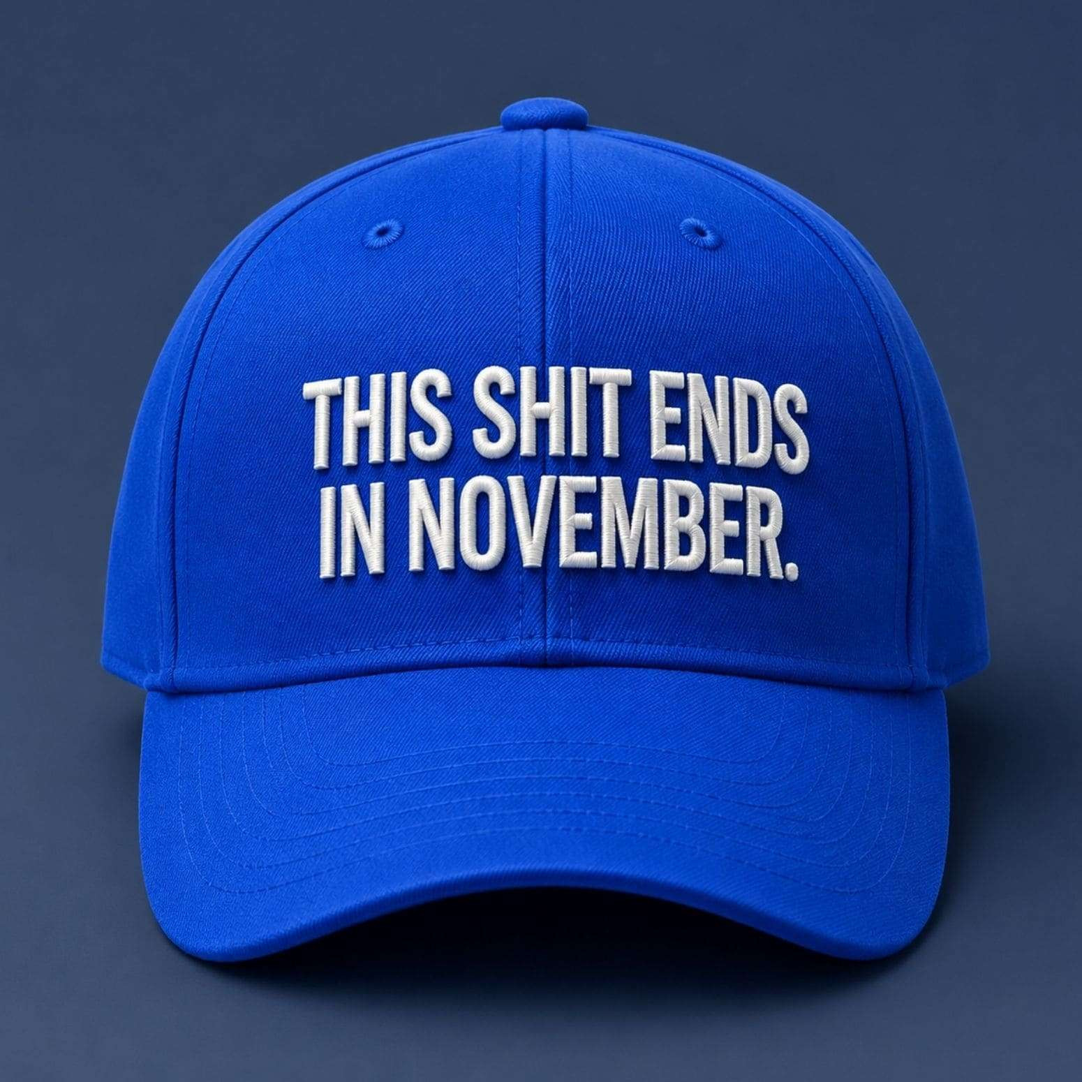 This Sht Ends In November Hat Embroidered Birthday Gift For Friends